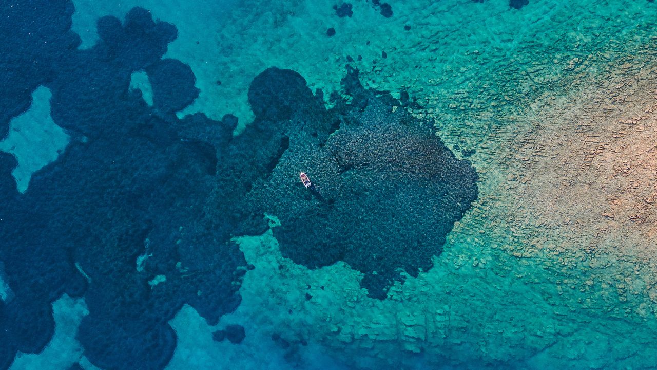 飞行还是漂浮