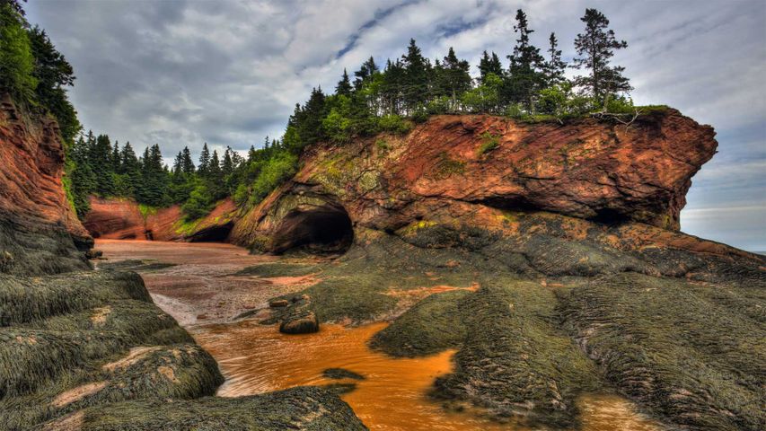 Höhlen und Felsformationen bei Ebbe in der Bay of Fundy nahe St. Martins, New Brunswick, Kanada