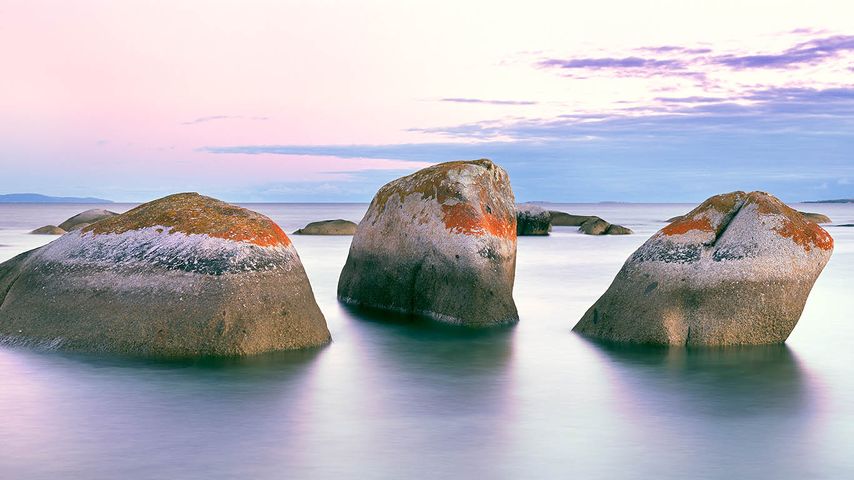 Granitfelsen an der Küste von Flinders Island, Tasmanien, Australien 