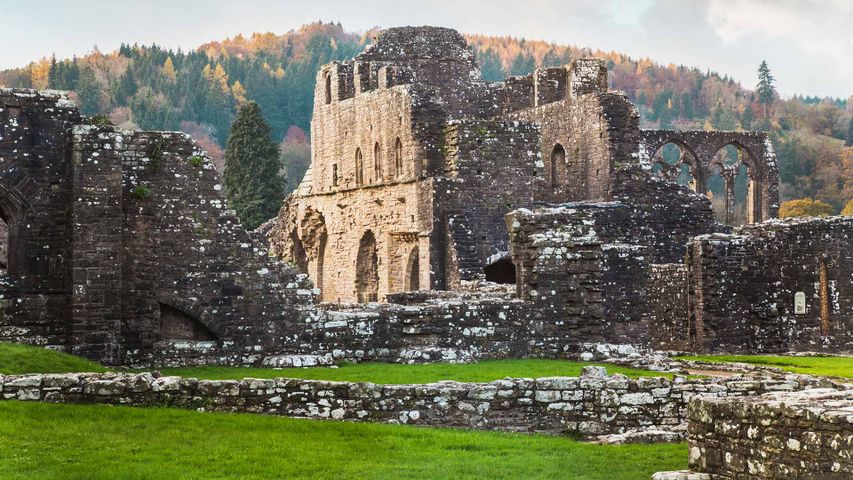 Die Klosterruine Tintern Abbey, Monmouthshire, Wales, Großbritannien
