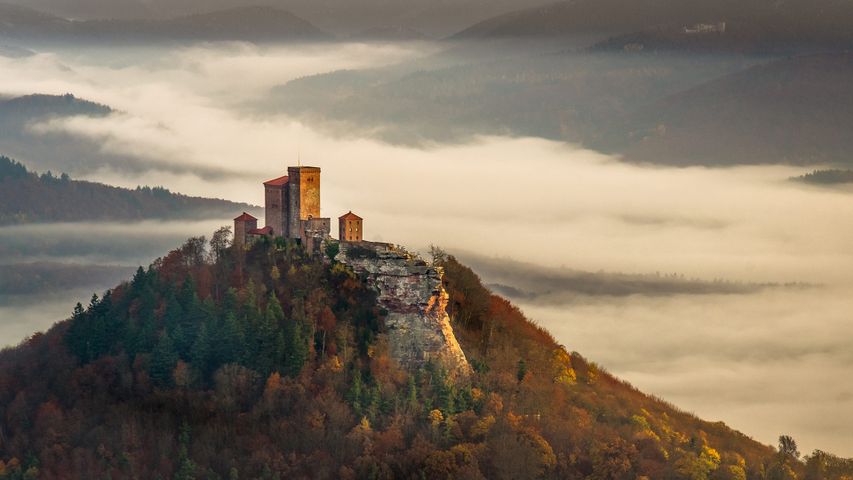 Die Burg Trifels an einem nebligen Herbstmorgen, Pfälzerwald, Rheinland-Pfalz, Deutschland