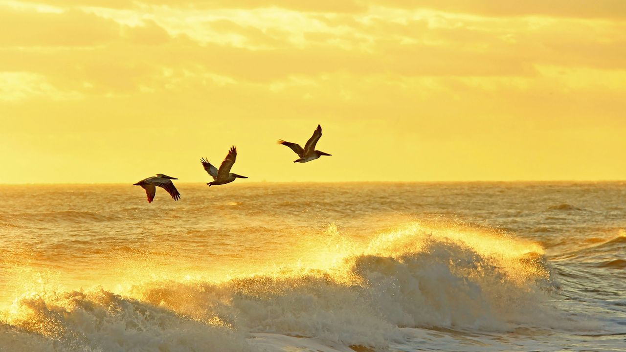 羽量级？远远不止。