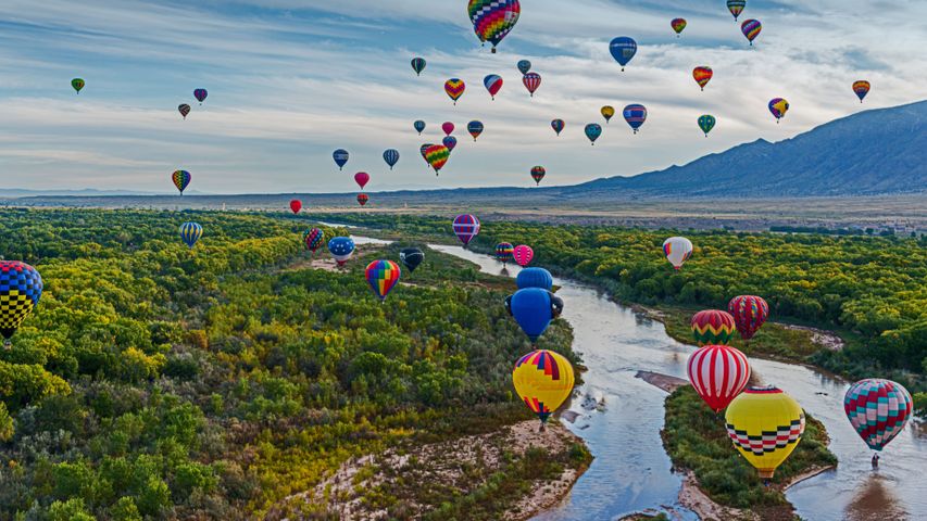 Heißluftballons bei der Albuquerque International Balloon Fiesta in Albuquerque, New Mexico, USA