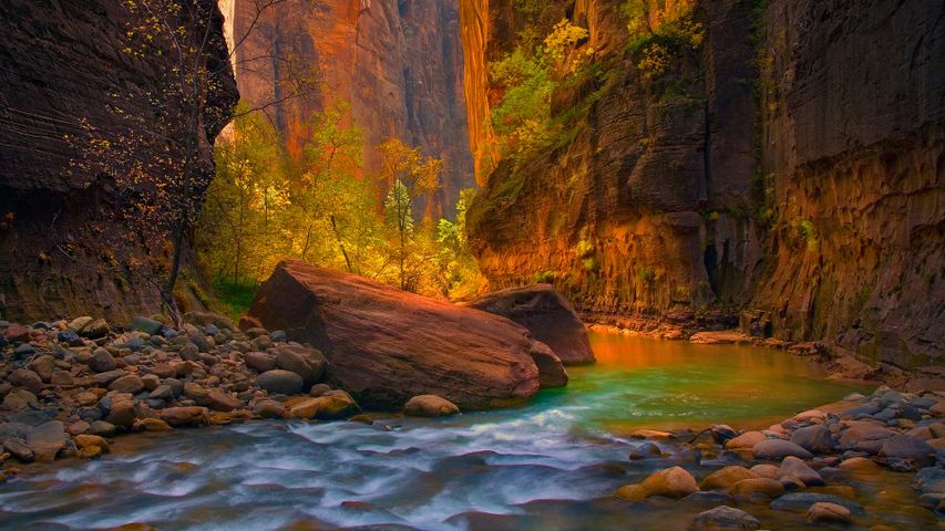 Virgin River im Zion-Nationalpark, Utah, USA 