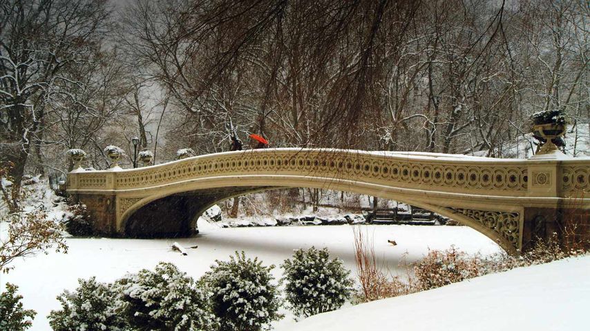 Die Bow Bridge im Central Park, New York, USA