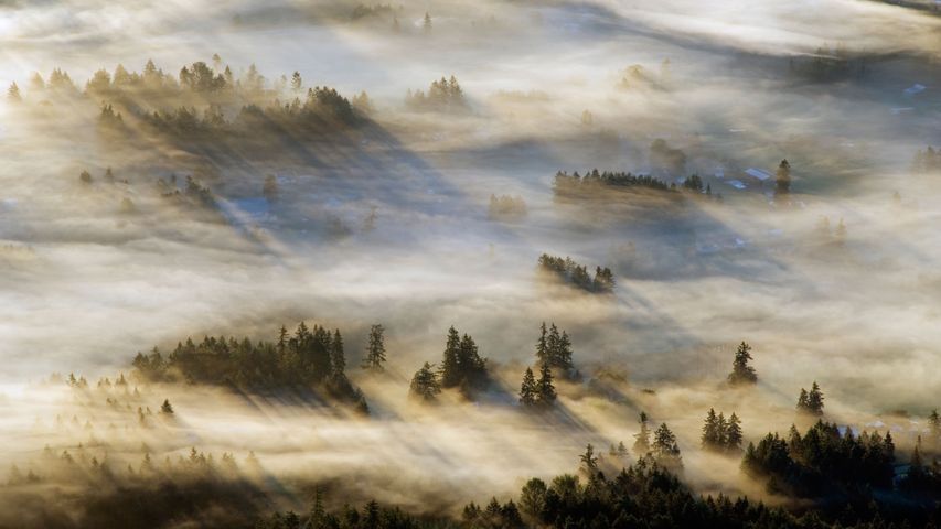 Nebel im Cowichan Valley auf Vancouver Island, British Columbia, Kanada