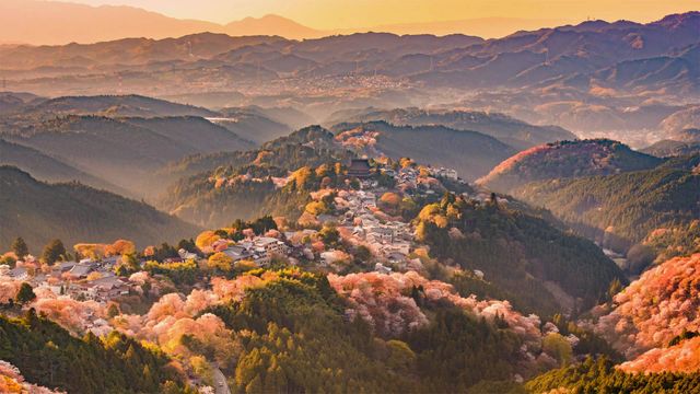 吉野山,日本奈良