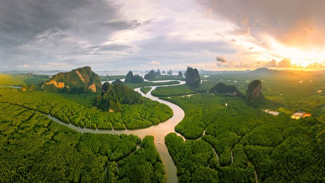 攀牙湾安达曼海的红树林,泰国