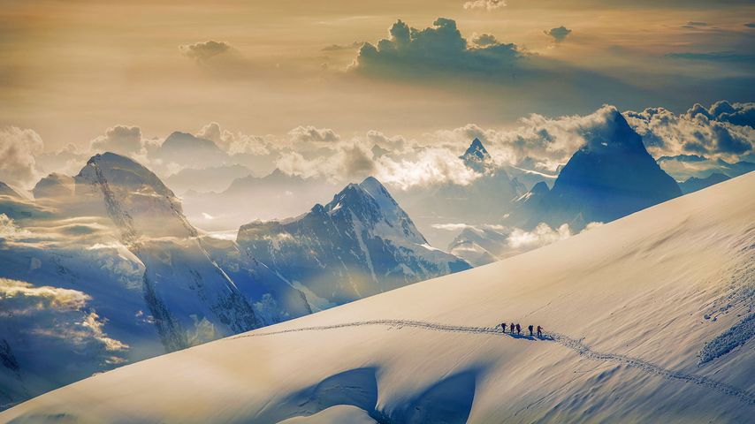 Bergsteiger beim Aufstieg zum Jungfrau-Gipfel, Berner Alpen, Schweiz 