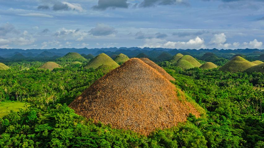 Chocolate Hills („Schokoladenhügel“) auf der Insel Bohol, Philippinen