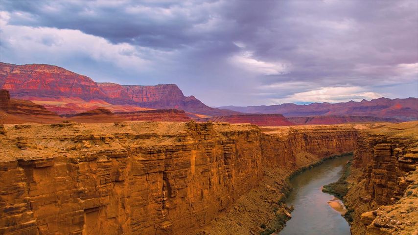 Colorado River und Marble Canyon, Grand-Canyon-Nationalpark, Arizona, USA
