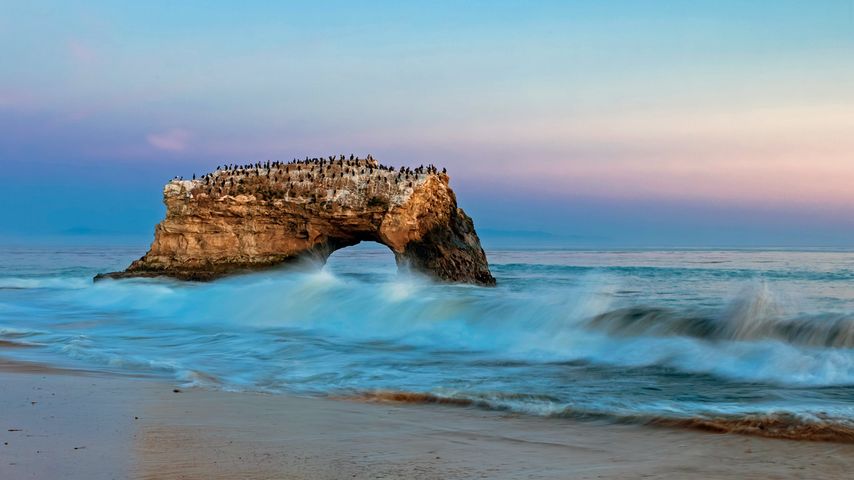 Natural Bridges State Beach, Santa Cruz County, Kalifornien, USA