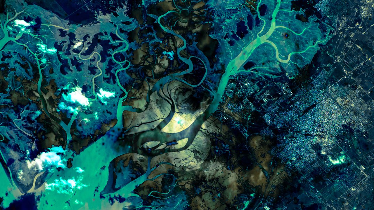 汊道交错的“海湾”