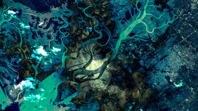 汊道交错的“海湾”