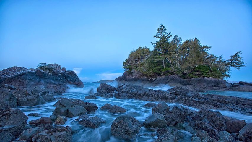 Küstenstreifen nahe Tofino auf Vancouver Island, British Columbia, Kanada