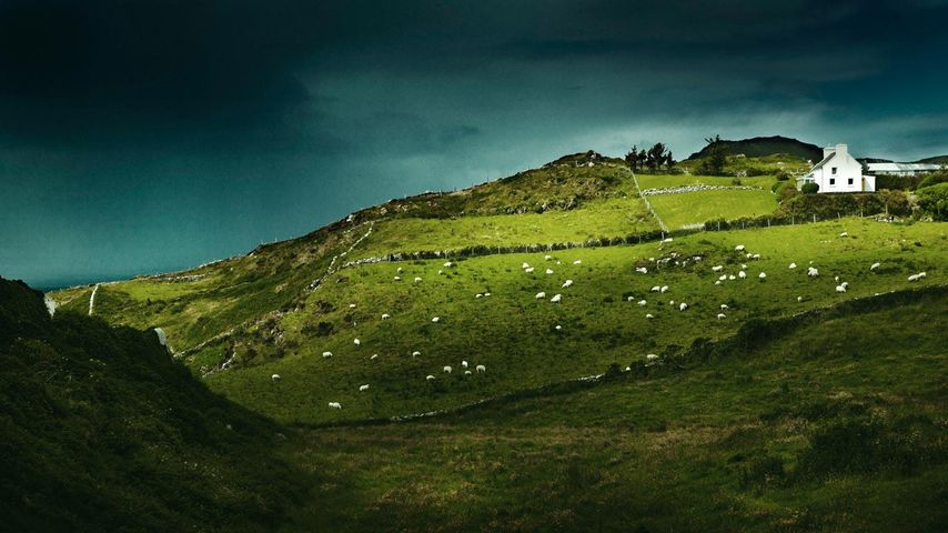 Halbinsel Sheep's Head, Irland