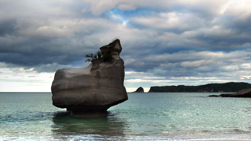 Erodierender Fels in der Meeresbucht Cathedral Cove, Nordinsel Neuseelands 