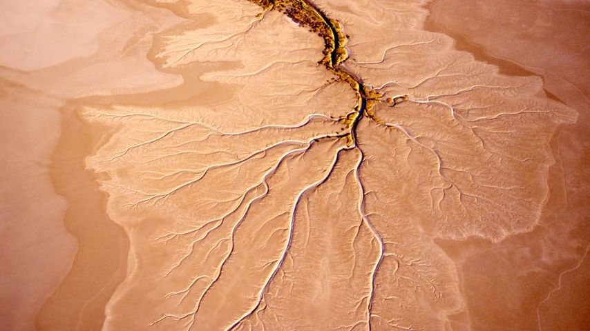 Flussverzweigungen des Norman River, Queensland, Australien