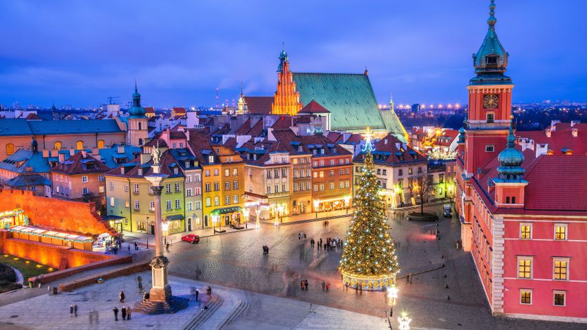 Weihnachtsbaum auf dem Schlossplatz, Altstadt, Warschau, Polen