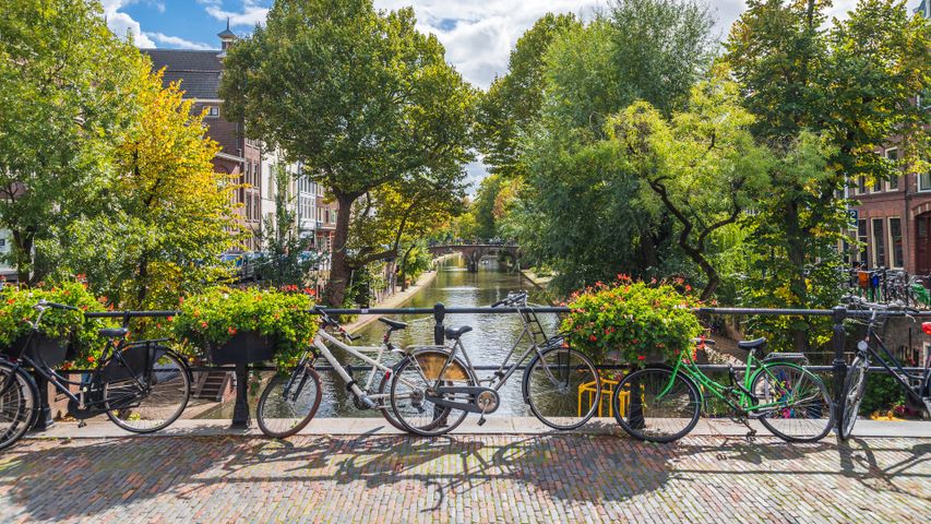 Fahrräder auf einer Brücke in Utrecht, Niederlande