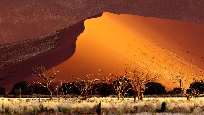 Düne, Sossusvlei, Namibia