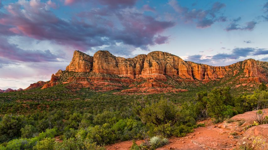 Rote Felsformationen, Sedona, Arizona, USA