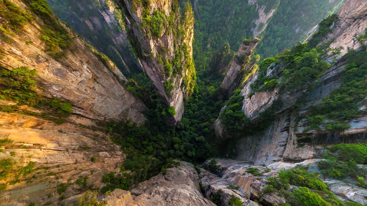 拔地而起的“电影明星”