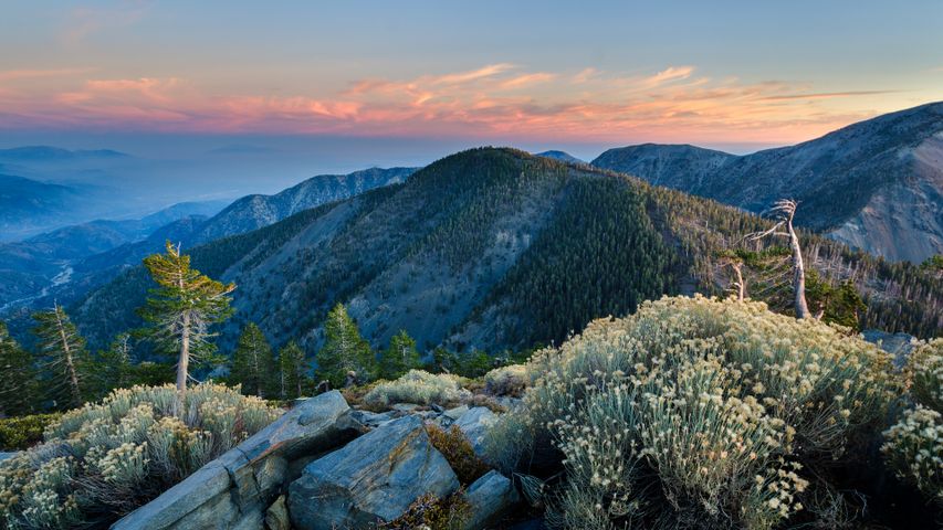 Gipfel des Pine Mountain, Angeles National Forest, Kalifornien, USA