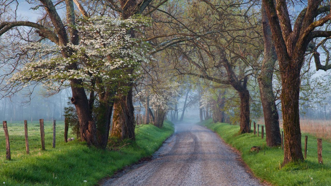 Cades Cove ，大雾山国家公园，田纳西州，美国