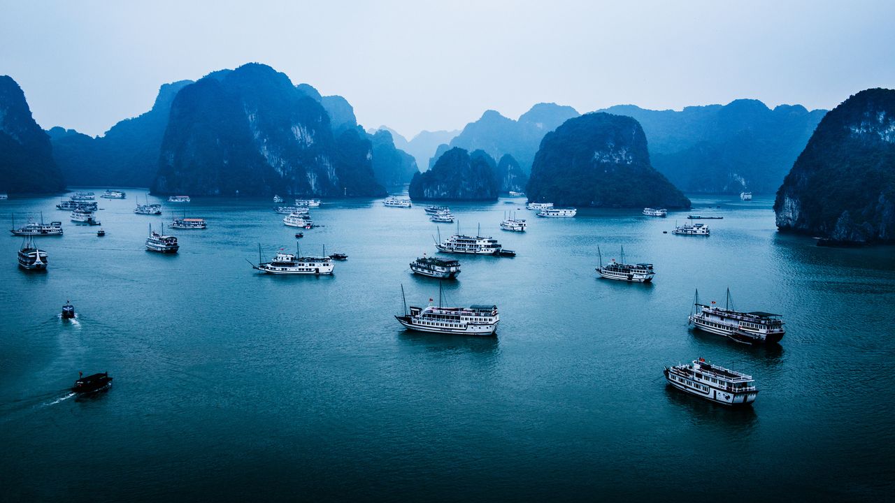 龙孕育的海湾？