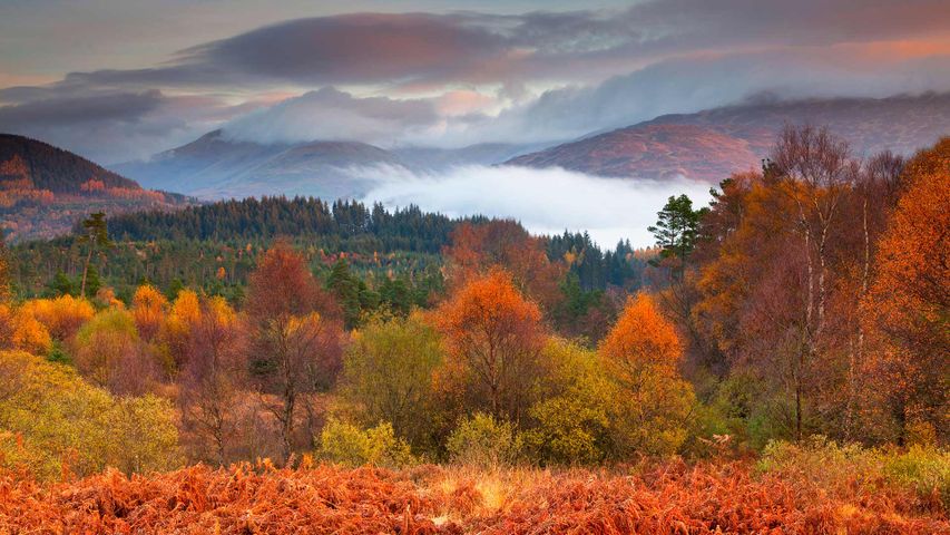 Loch-Lomond-and-the-Trossachs-Nationalpark im Herbst, Schottland, Großbritannien