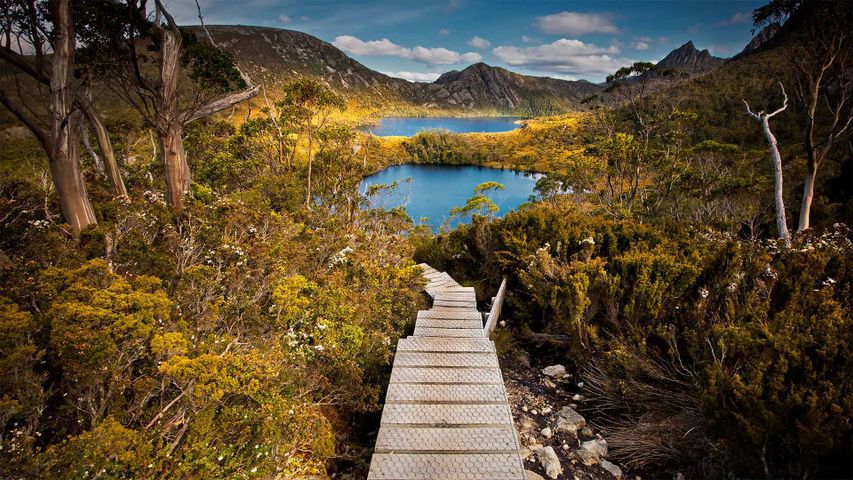 Cradle-Mountain-Lake-St.-Clair-Nationalpark, Tasmanien, Australien
