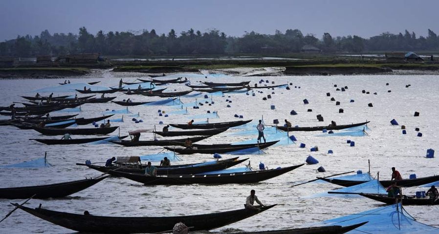 Fischer werfen ihre Netze aus, um Shrimps zu fangen, Provinz Khulna, Bangladesch – Tim Laman/Getty Images ©
