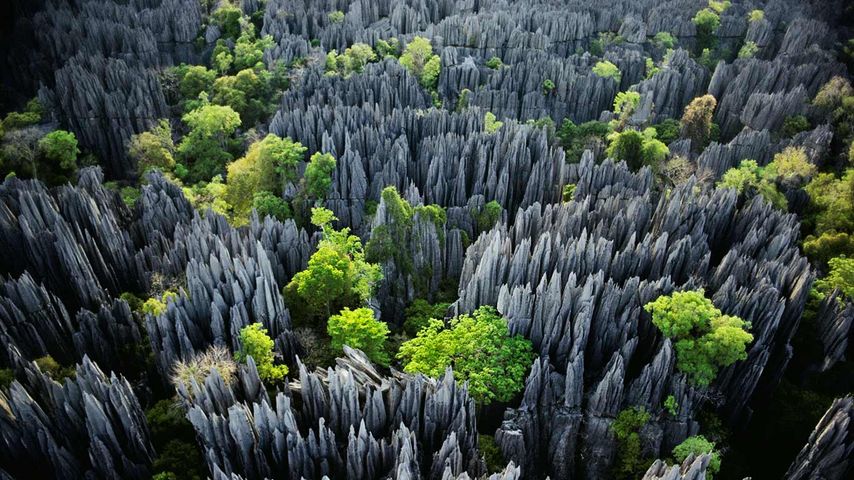 Nationalpark Tsingy de Bemaraha, Madagaskar