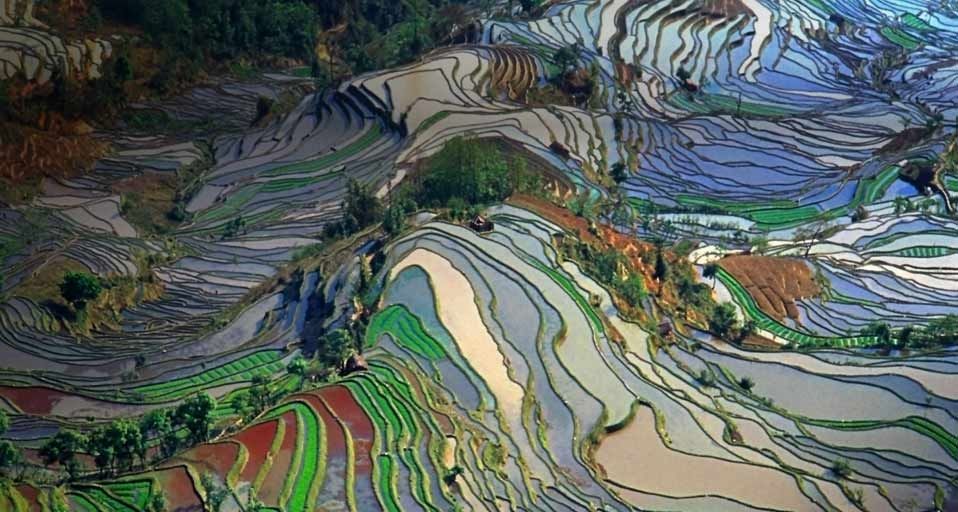 云南梯田鸟瞰图