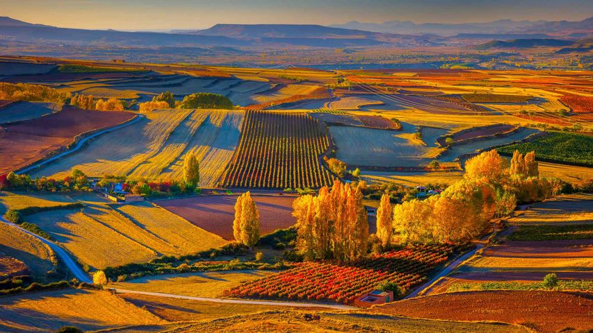 Herbstliche Landschaft in der Nähe der Stadt Clavijo in der spanischen Region La Rioja