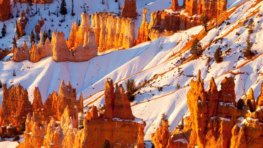Sandstein-Hoodoos, Bryce-Canyon-Nationalpark, Utah, USA