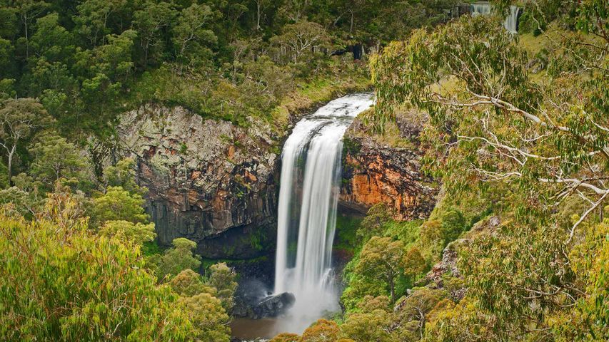 Ebor Falls im Guy-Fawkes-River-Nationalpark, Australien 