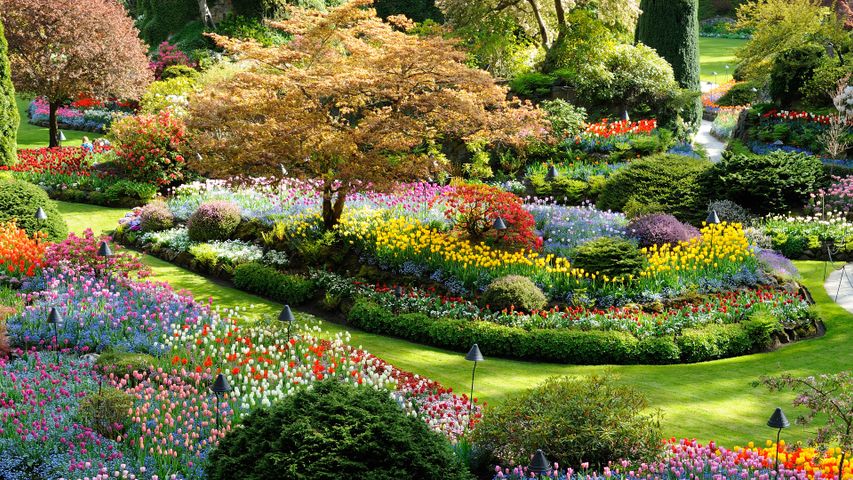 Butchart Gardens in Brentwood Bay, British Columbia, Kanada