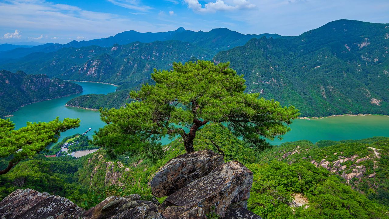 在月岳山间漫步