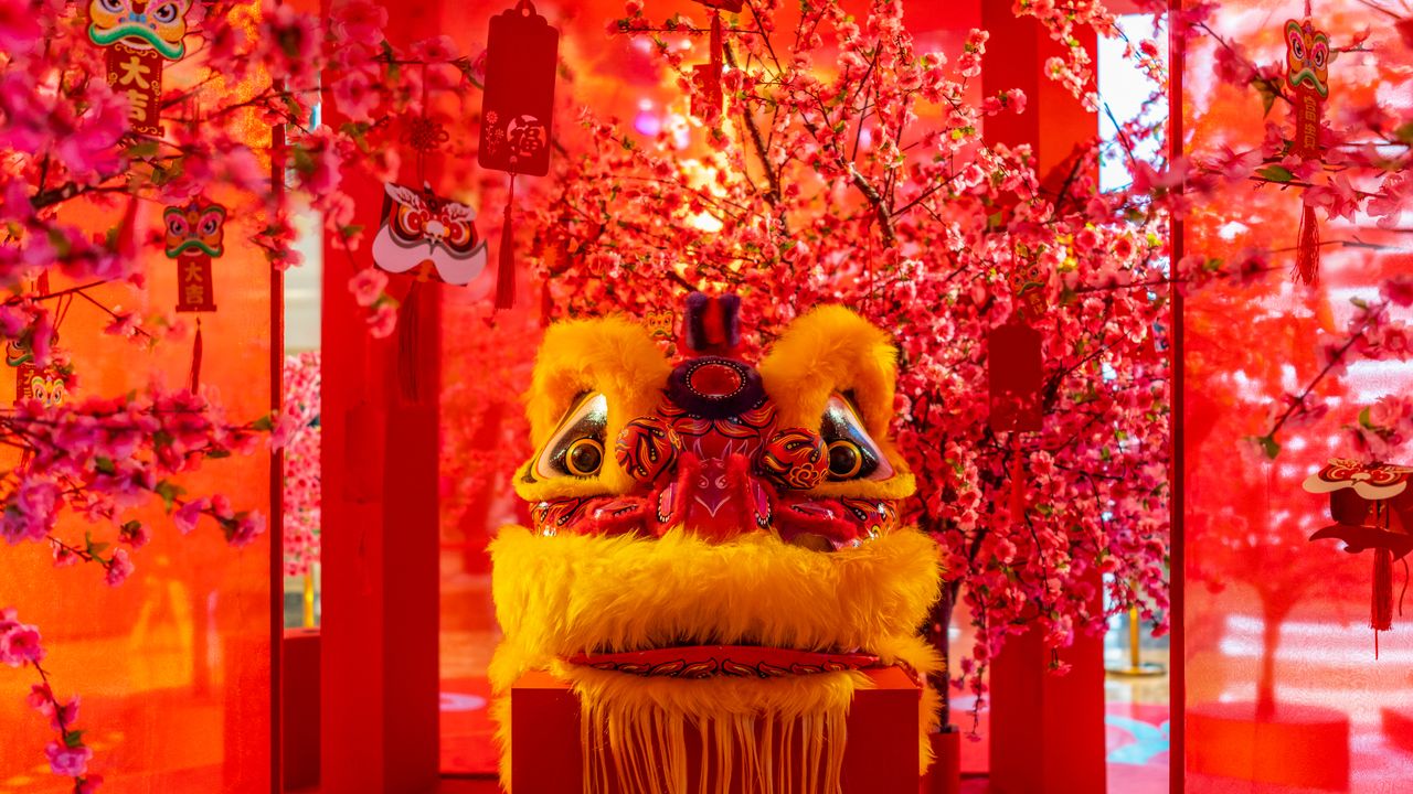 中国舞狮，大年初一