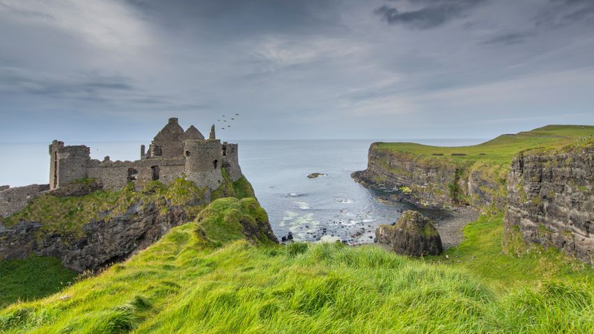 Dunluce Castle, Grafschaft Antrim, Nordirland