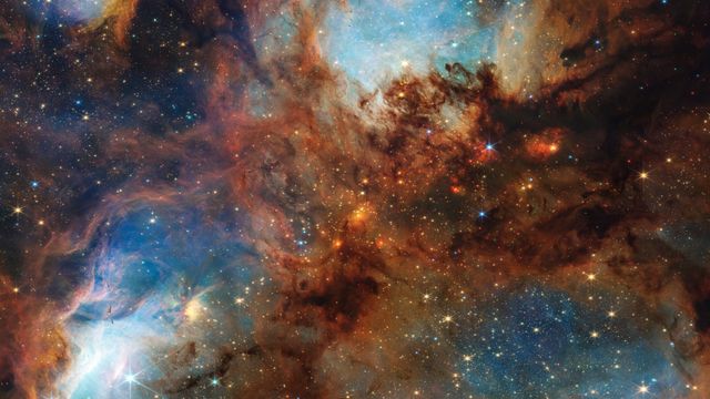 形似猫爪的星团
