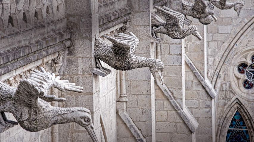 Statuen heimischer Meeresvögel an der Basílica del Voto Nacional in Quito, Ecuador