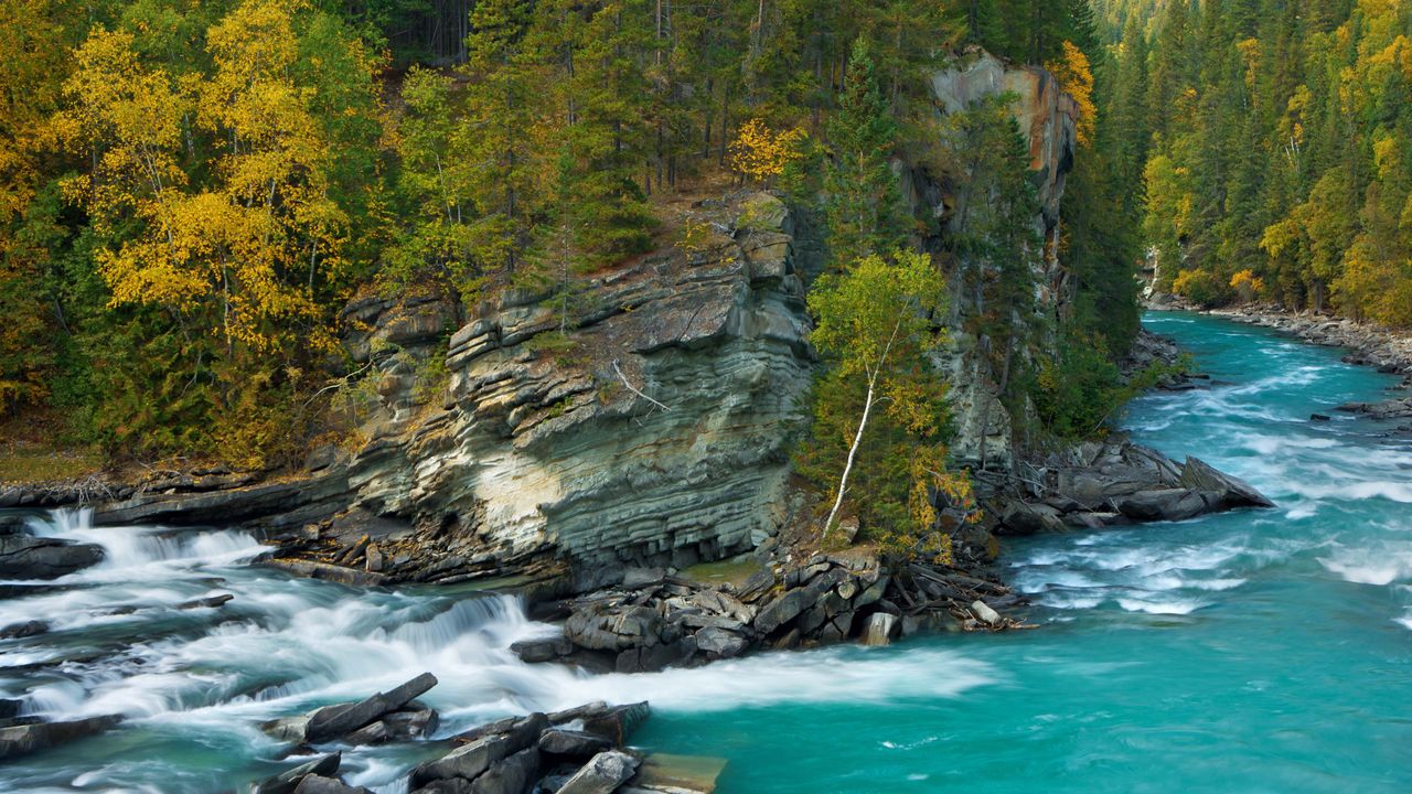 鲑鱼的最后一站