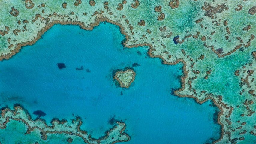 Heart Reef im Great Barrier Reef, Queensland, Australien