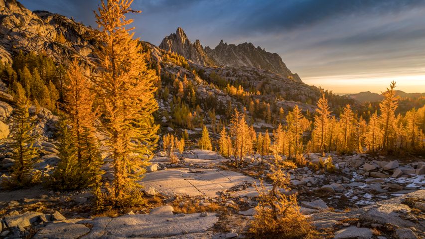 Goldene Lärchen und Prusik Peak, Enchantments, Washington, USA