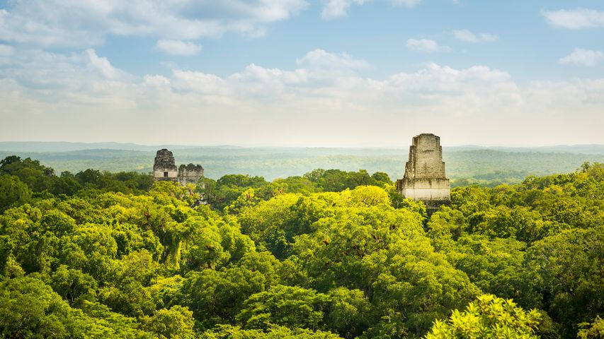 Maya-Ruinen in Tikal, Guatemala