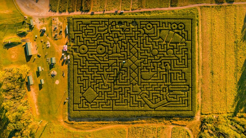 Maislabyrinth in Saylorsburg, Pennsylvania, USA