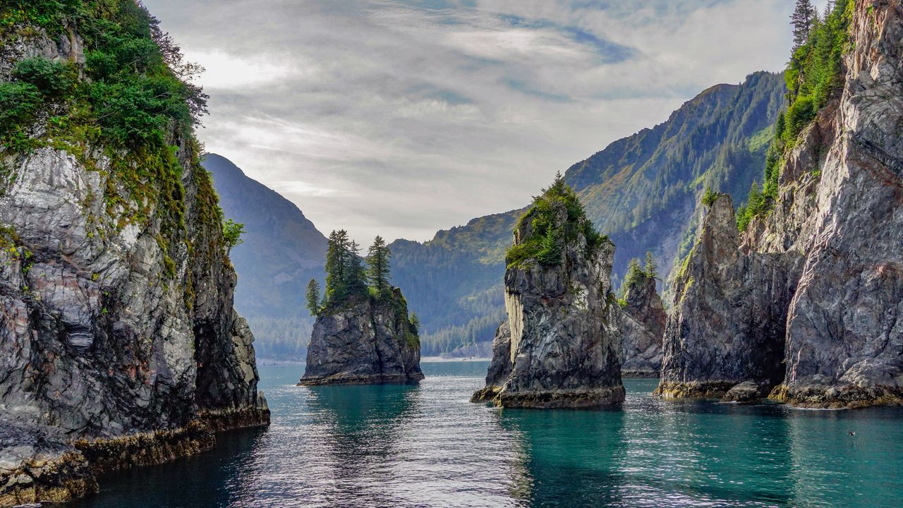 阿拉斯加基奈峡湾国家公园尖顶湾, 阿拉斯加州苏厄德, 美国
